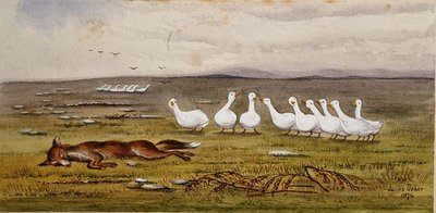 Un gioco di volpe e oche da James W. Usher