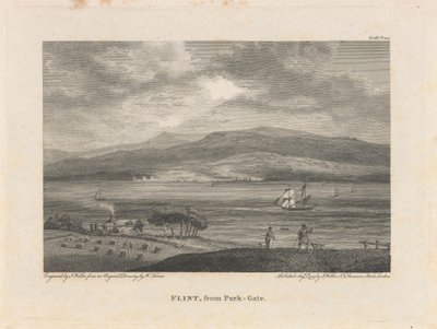 Flint, da Park-Gate da James Walker