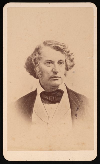 Ritratto di Charles Sumner 1811-1874, prima del 1874 da James Wallace Black