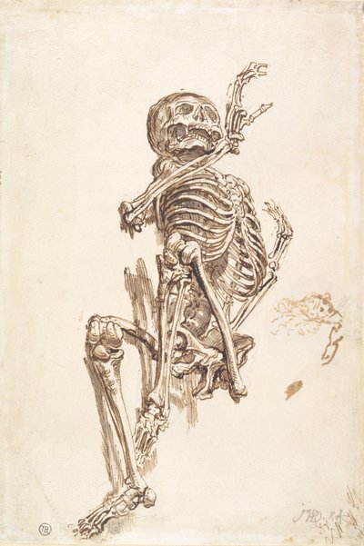 Uno scheletro umano (recto) da James Ward