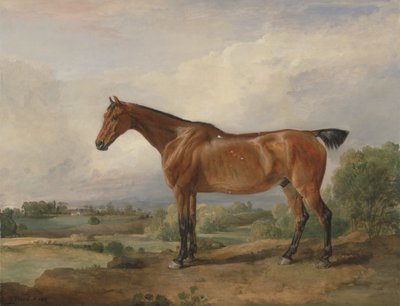 Un cacciatore in un paesaggio da James Ward