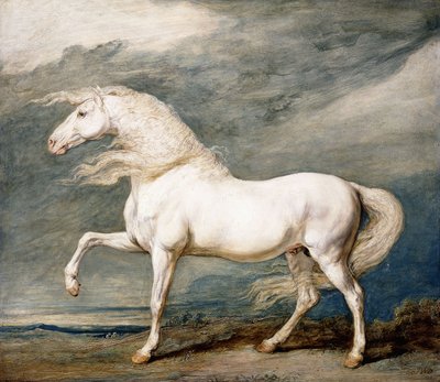 Adone, il cavallo preferito di re Giorgio III da James Ward