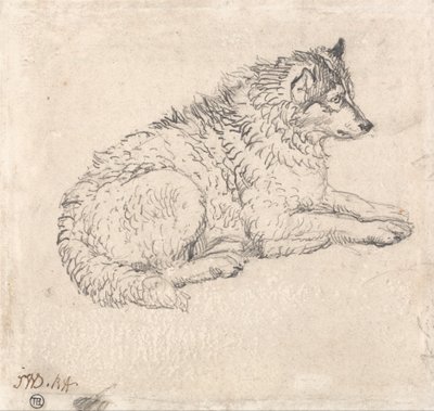 Cane artico, rivolto a destra da James Ward