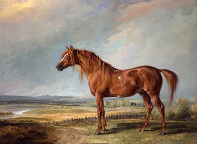 Copenhagen, il cavallo preferito di Wellington, in un paesaggio da James Ward