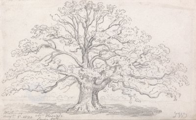 La grande quercia del signor Howard, 5 agosto 1820 da James Ward