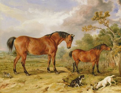Ritratto di Riformatore, Blucher, Tory e Crib, di proprietà di Rowland Alston, Esq. da James Ward