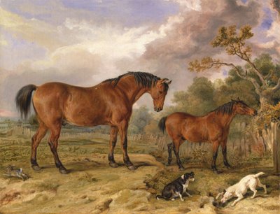 Ritratto di Reformer, Blucher, Tory e Crib, proprietà di Rowland Alston, Esq., M.P. [1836, Royal Academy of Arts, Londra, catalogo della mostra] da James Ward