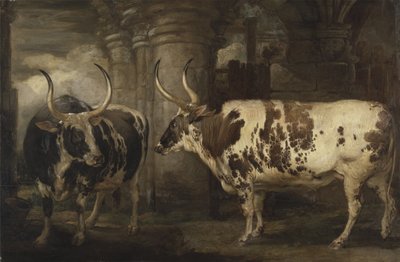 Ritratti di due buoi straordinari, proprietà del Conte di Powis da James Ward