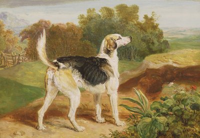 Ravager, uno dei Lambton Hounds da James Ward