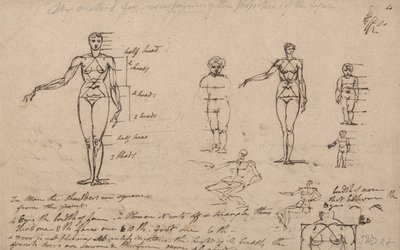 Studi di anatomia, misure e scrittura da James Ward