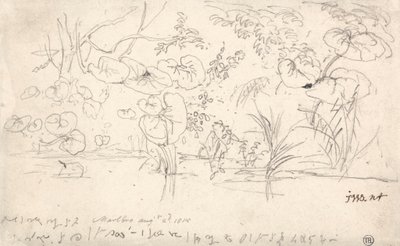 Studi di piante, 2 agosto 1815 da James Ward