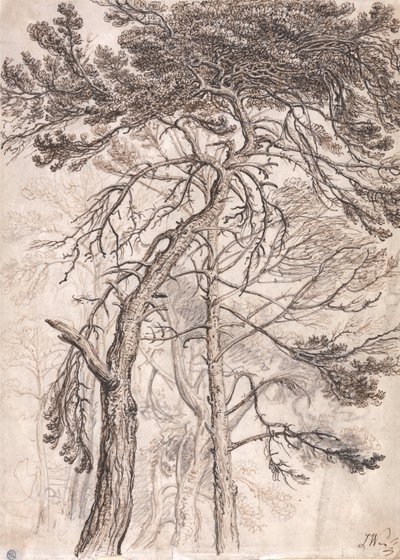 Studio degli alberi da James Ward