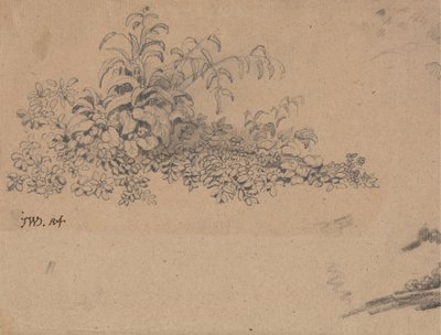 Studio di sottobosco da James Ward