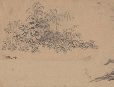Studio del sottobosco da James Ward