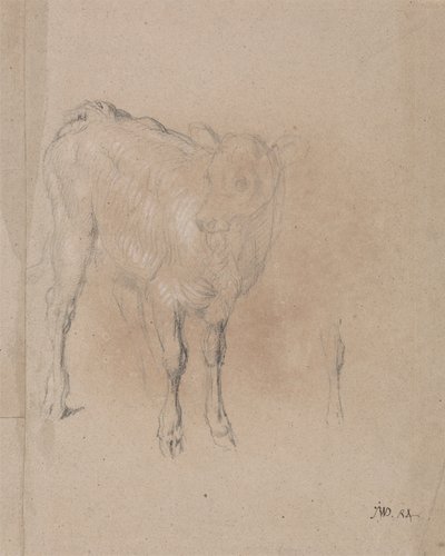 Studio di un vitello da James Ward