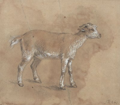 Studio di un bambino da James Ward
