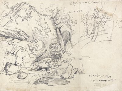 Studio di una montagna con alberi da James Ward
