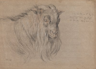 Studio della testa di un ariete da James Ward