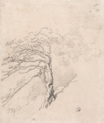 Albero su una collina da James Ward
