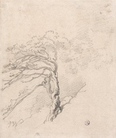 Albero in collina da James Ward