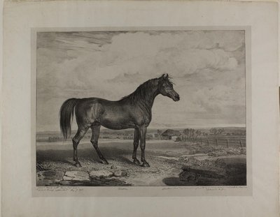 Walton da James Ward