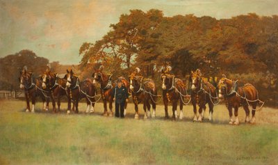 Cavalli da tiro, 1896 da James Weaver Tattersall