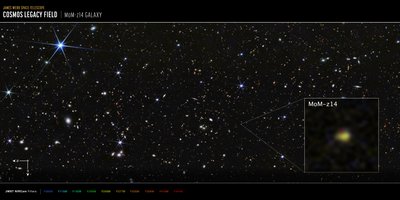 Galassia MoM-z14 del campo COSMOS (immagine NIRCam) da James Webb Space Telescope (NASA)