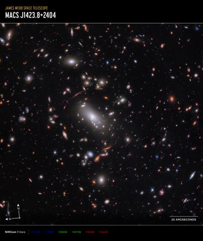 Amasso galattico MACS J1423 (immagine NIRCam Compass) da James Webb Space Telescope (NASA)