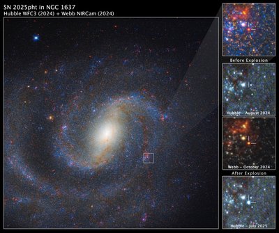 SN 2025pht in NGC 1637 da James Webb Space Telescope (NASA)