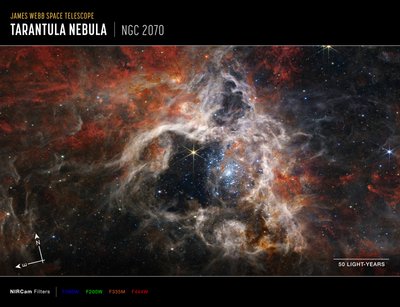 Nebulosa Tarantola (Immagine bussola NIRCam) da James Webb Space Telescope (NASA)