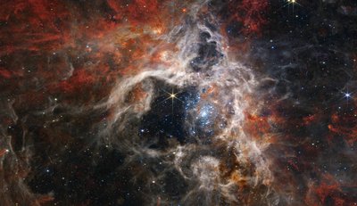 Nebulosa Tarantola (Immagine NIRCam) da James Webb Space Telescope (NASA)