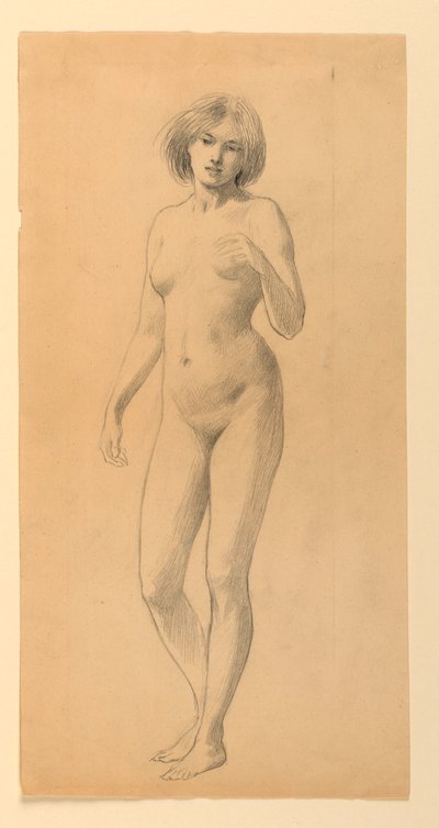 Nudo Femminile in Piedi da James Wells Champney