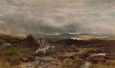 Strada di Montagna, Capel Curig, Galles del Nord da James William Whitaker