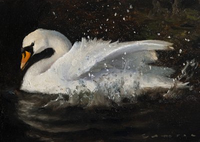 Il cigno danzante da James Zamora