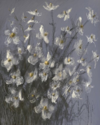 Fiori bianchi da sogno da James Zamora