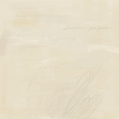 Scrittura astratta sfumata da James Zamora