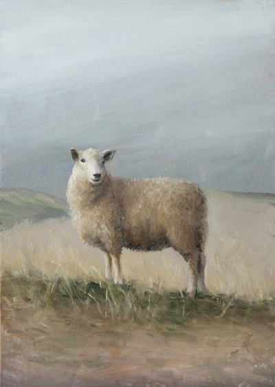 Pecore da pascolo da James Zamora