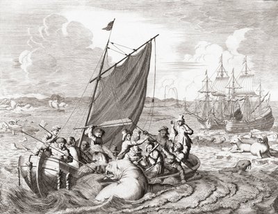 Cacciatori di trichechi nel XVI secolo (incisione) da Jan (after) Luyken