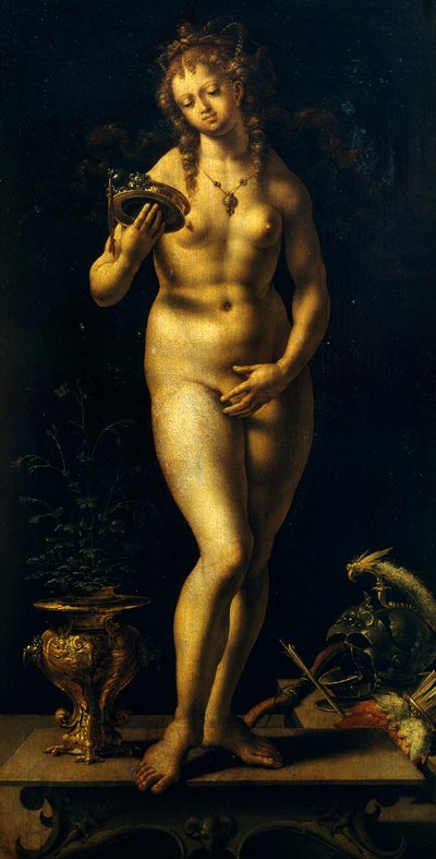Venere da Jan (c.1472 c.1533) Gossaert