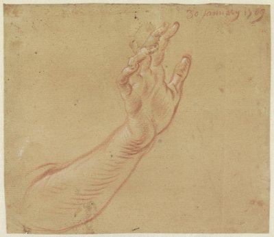 Studio di un braccio destro da Jan Anton Garemyn