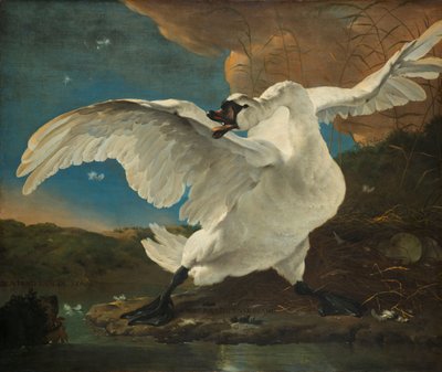 Il cigno minacciato (interpretato successivamente come allegoria su Johan de Witt) da Jan Asselijn