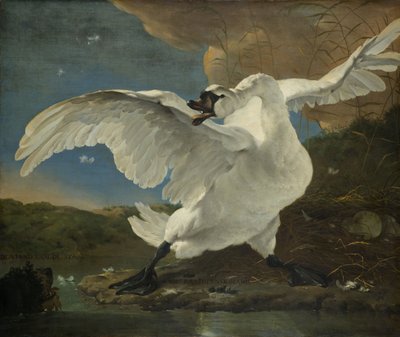Il cigno minacciato da Jan Asselyn
