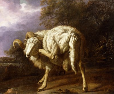 Un Ariete in un Paesaggio Boschivo da Jan Baptist Weenix