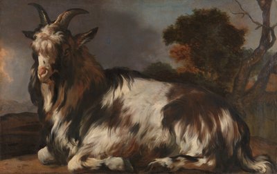 Capra sdraiata da Jan Baptist Weenix