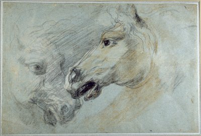 Due studi della testa di un cavallo da Jan Boeckhorst