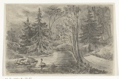 Sentiero boschivo vicino a uno stagno con anatre da Jan Bos Wz.
