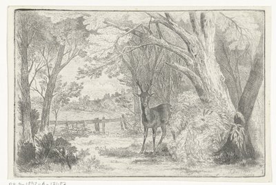 Paesaggio di parco con cervo da Jan Bos Wz.