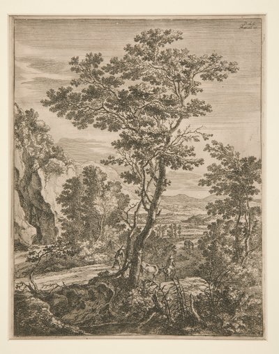 Paesaggio con un grande albero da Jan Both