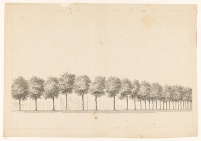 Viale alberato a Batavia da Jan Brandes