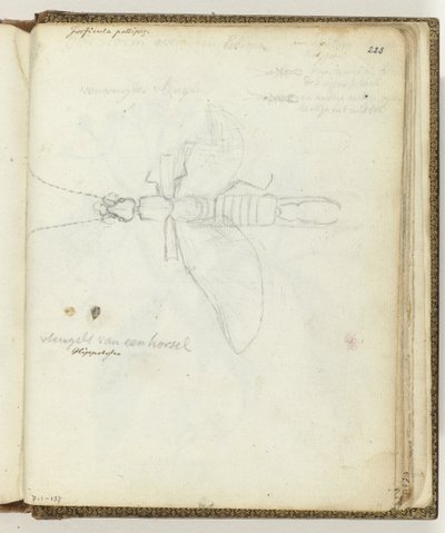 Tafano da Jan Brandes
